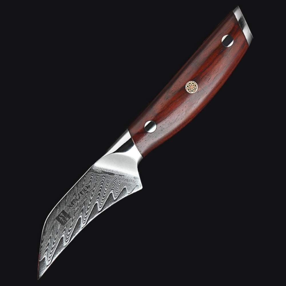 3 Inch Bird's Beak 67 Layers Damascus Steel Tourne Paring Knife with  Rosewood Handle