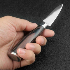 https://toroscookware.com/cdn/shop/products/complete-kitchen-knives-set-advanced-7cr17-stainless-steel-mirror-polish-317135_medium.jpg?v=1599407088