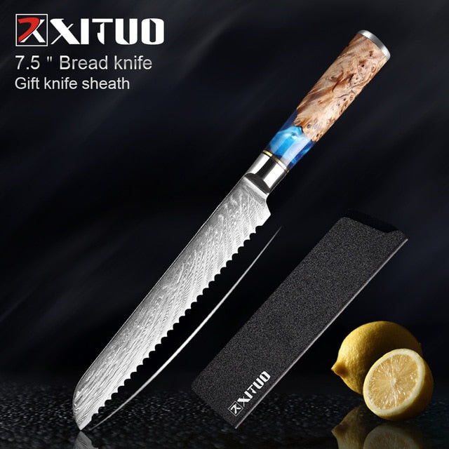 Professional Butcher Knife 9 inch Japanese VG10 Damascus Steel Chef Kitchen Tool